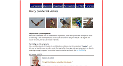 Desktop Screenshot of harrylamberink.nl