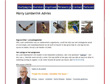 Tablet Screenshot of harrylamberink.nl